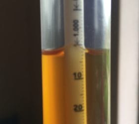 Taking the Specific Gravity reading on bottling day