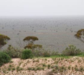 View from the top of the escarpment at Madura Pass