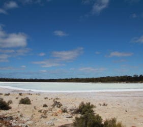 Salt lake east of Norseman