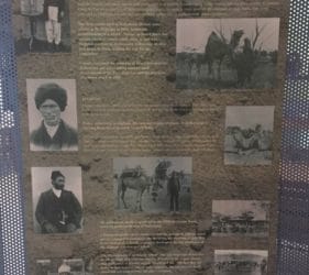 Poster of Afghans and Camels at the Balladonia Hotel Motel